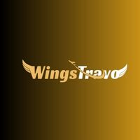 WingsTravo Profile image1 1