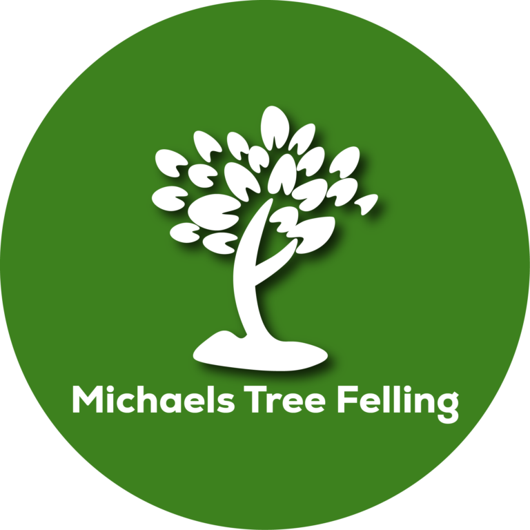 michaels logo round 01 768x768